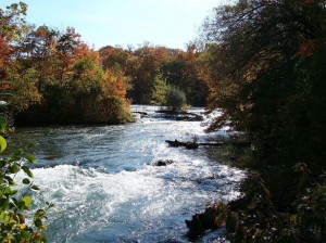 Besser leben - der Fluss des Lebens