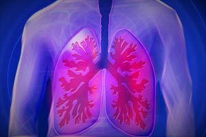 Besser leben - die Lunge des Menschen (schematisch)